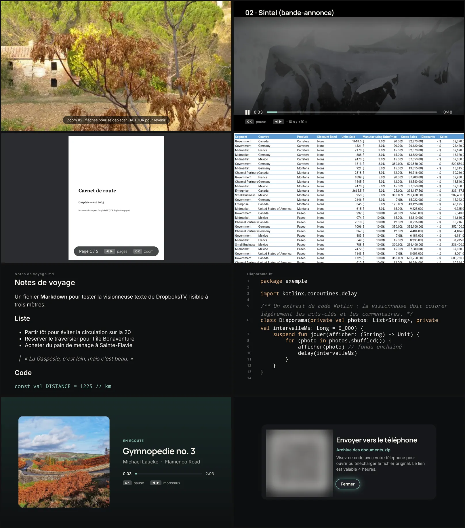 Huit écrans de DropboksTV : une photo zoomée, une vidéo, un PDF, un tableur, des notes Markdown, du code Kotlin, un morceau de musique avec sa pochette et l’écran d’envoi vers le téléphone