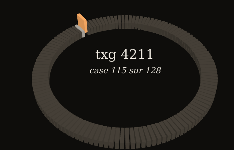 Le ring du hall en vue 3D : un anneau de 128 emplacements, avec au centre « txg 4211, case 115 sur 128 ». L'emplacement 115 est en orange, le 114 en gris clair.